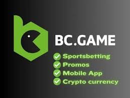 Unveiling the Thrill of BC Co Casino A New Era in Online Gaming