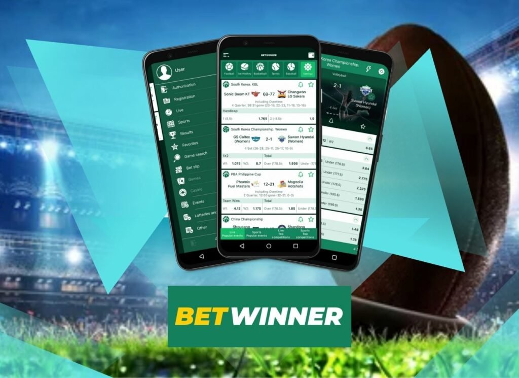 Explore the Exciting World of BetWinner Casino
